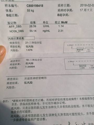 journal_insert_pic_956426413