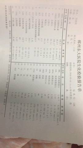 journal_insert_pic_956698559