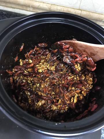 journal_insert_pic_957206619