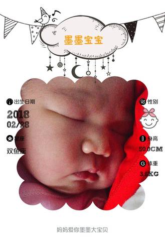 journal_insert_pic_957447317