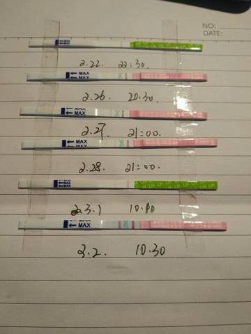 journal_insert_pic_957713455