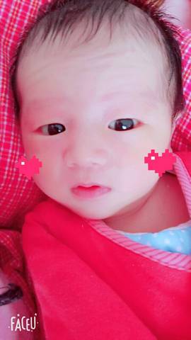 journal_insert_pic_957075613