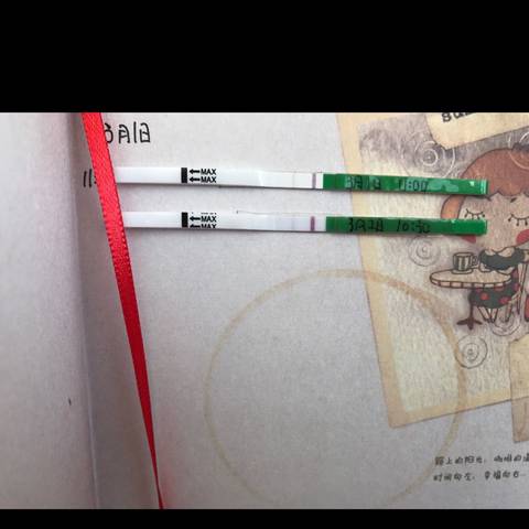 journal_insert_pic_957212618