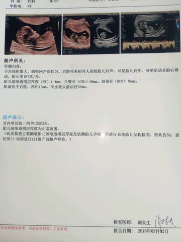 journal_insert_pic_957310744