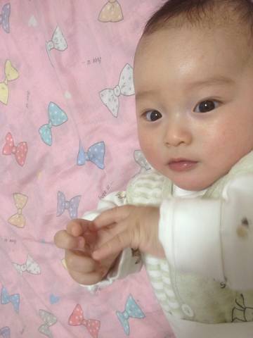 journal_insert_pic_958219010