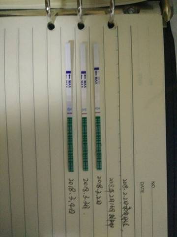 journal_insert_pic_958630433