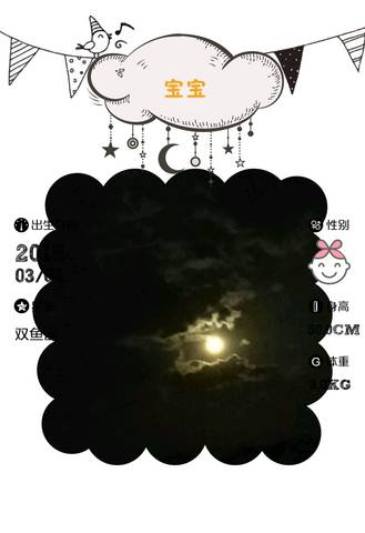 journal_insert_pic_958725581