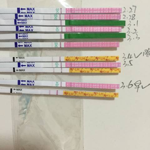 journal_insert_pic_960841061