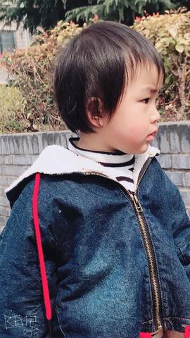 journal_insert_pic_961373350