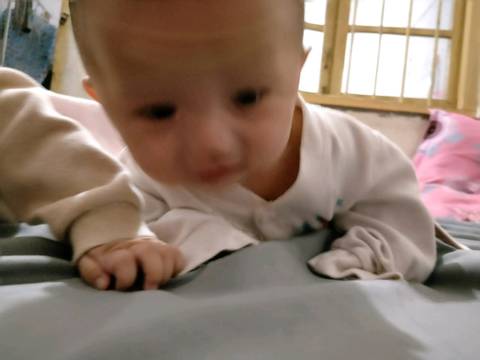 journal_insert_pic_962055216