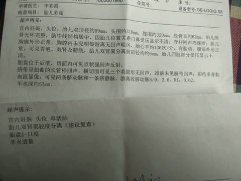 journal_insert_pic_962080887