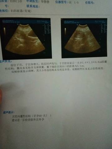 journal_insert_pic_961930141