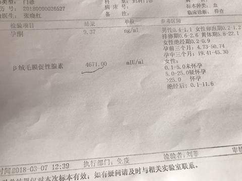 journal_insert_pic_962075511
