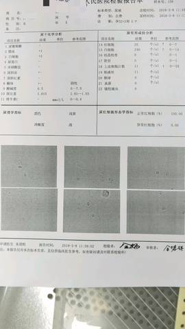 journal_insert_pic_962076179