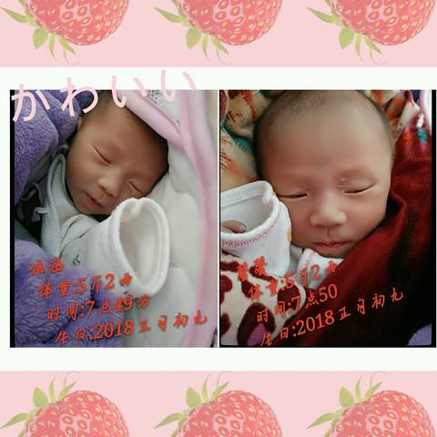 journal_insert_pic_962932047