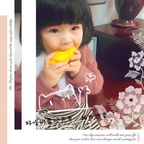 journal_insert_pic_963019963