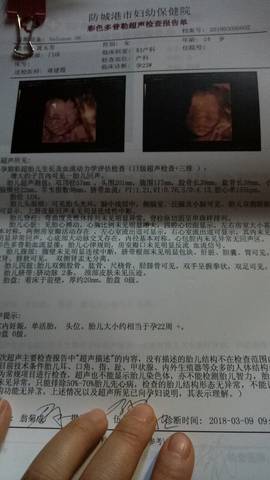 journal_insert_pic_962769390
