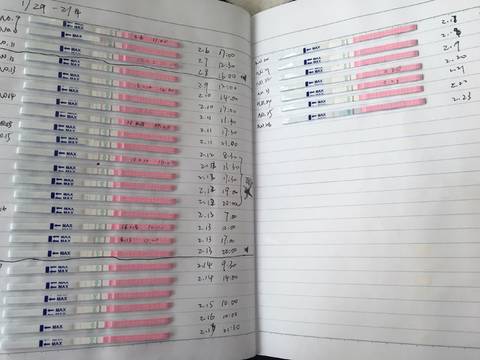 journal_insert_pic_963272048