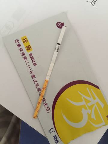 journal_insert_pic_963287447
