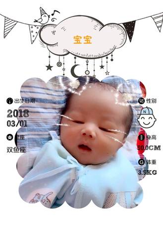 journal_insert_pic_963236700