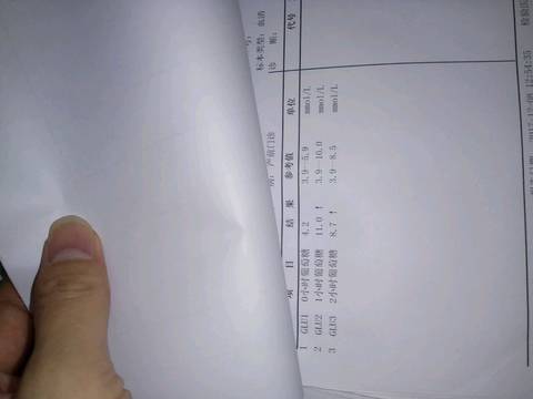 journal_insert_pic_964448889