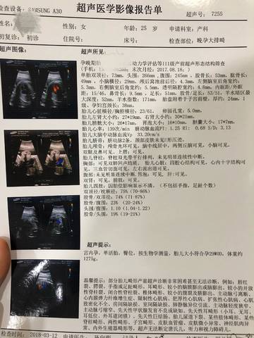 journal_insert_pic_965445429