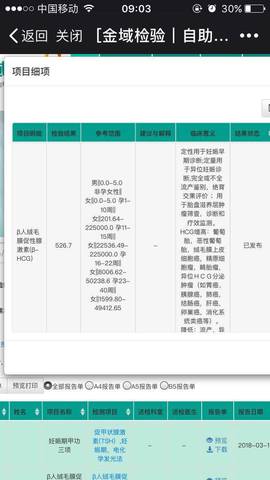 journal_insert_pic_965641295