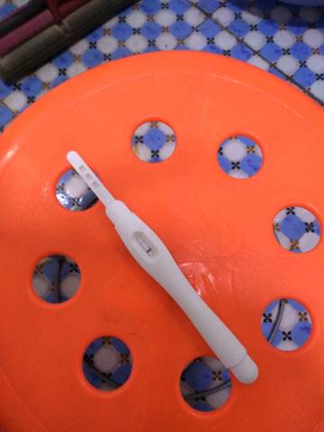 journal_insert_pic_965558962