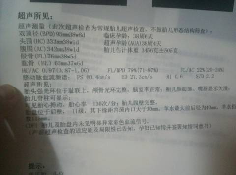 journal_insert_pic_966100597
