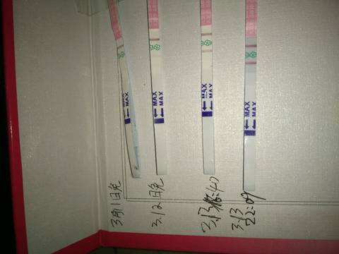 journal_insert_pic_966166105