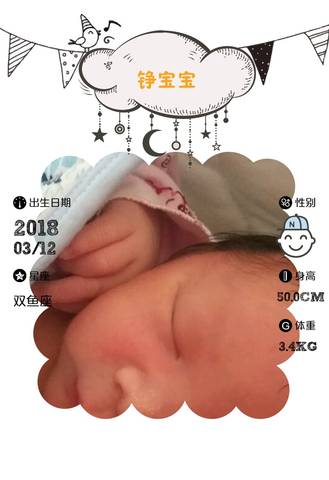 journal_insert_pic_966328602