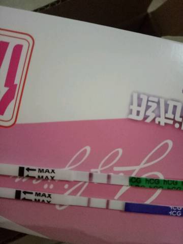 journal_insert_pic_966377927