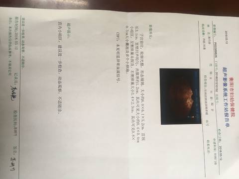 journal_insert_pic_966904227