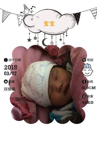 journal_insert_pic_966281502