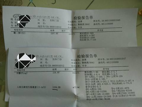 journal_insert_pic_966446606