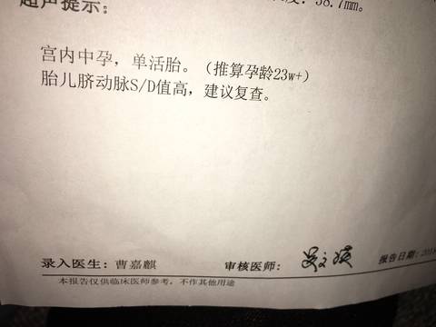 journal_insert_pic_966811202