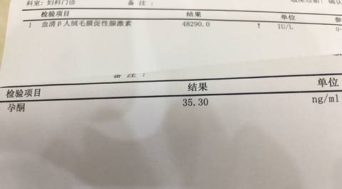 journal_insert_pic_967214999