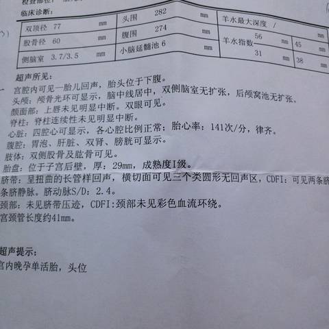 journal_insert_pic_967694613