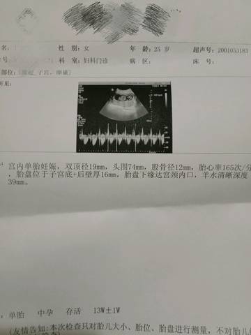 journal_insert_pic_968020644