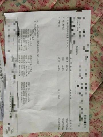 journal_insert_pic_968786001