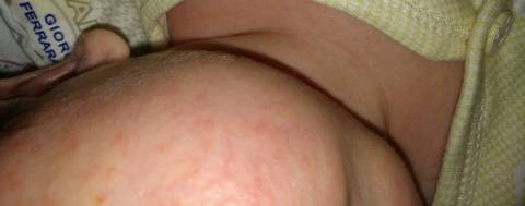 journal_insert_pic_968983418