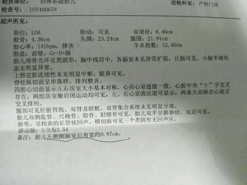 journal_insert_pic_969589169