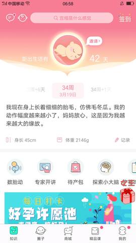 journal_insert_pic_970111376