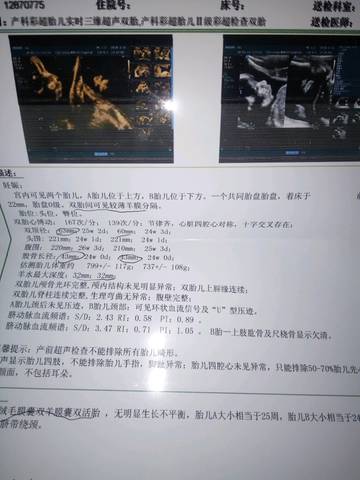 journal_insert_pic_970211620