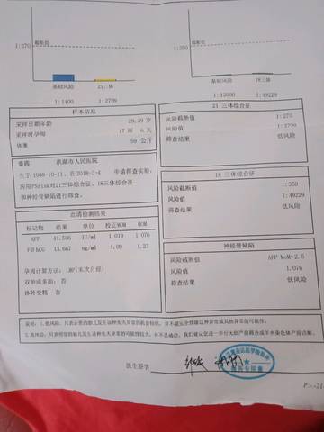 journal_insert_pic_970234495