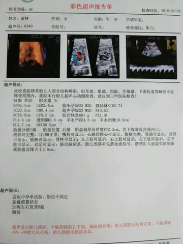journal_insert_pic_970316214