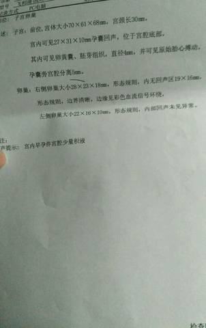 journal_insert_pic_971263132