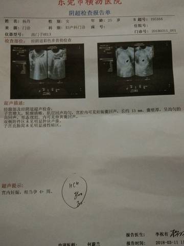 journal_insert_pic_971652743