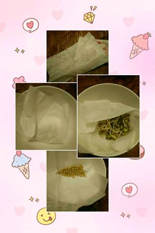 journal_insert_pic_972102478