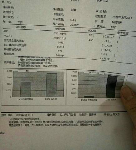 journal_insert_pic_971876273